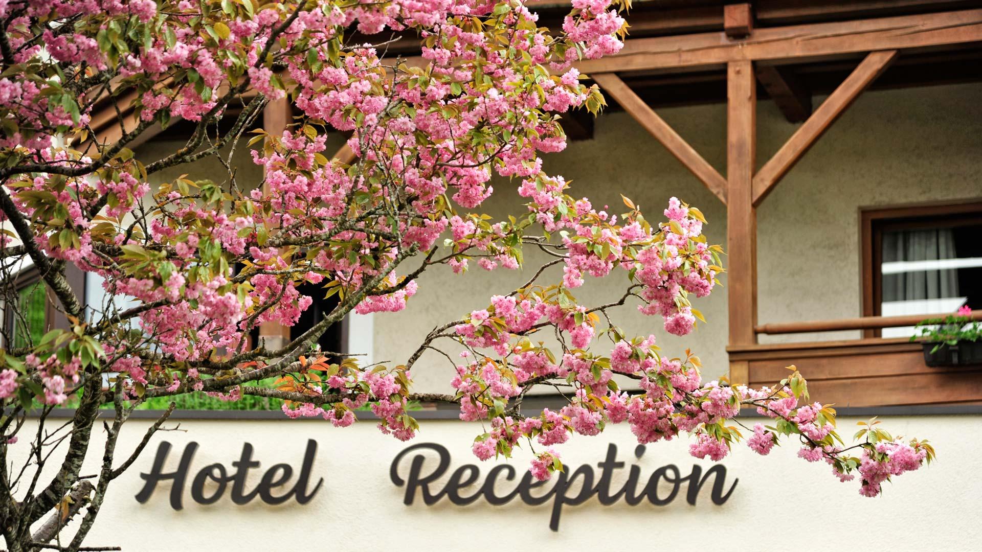 Fischerwirt Am Achensee Hotel Ахенкирх Екстериор снимка
